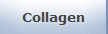 Collagen