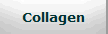 Collagen